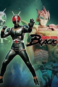 Kamen Rider Black (1987) subtitles - SUBDL poster