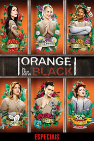 Orange Is the New Black Vietnamese  subtitles - SUBDL poster