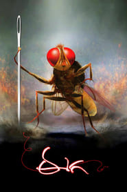 Eega