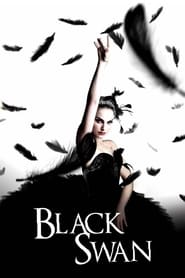 Black Swan Hindi  subtitles - SUBDL poster