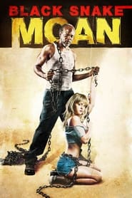 Black Snake Moan (2006) subtitles - SUBDL poster