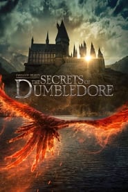 Fantastic Beasts: The Secrets of Dumbledore (2022) subtitles - SUBDL poster