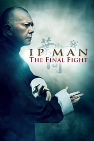 Ip Man: The Final Fight (Yip Man: Jung gik yat jin) Korean  subtitles - SUBDL poster