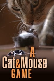 A Cat and Mouse Game