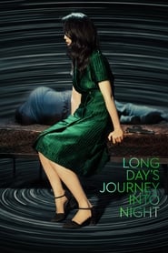 Long Day's Journey Into Night (Di qiu zui hou de ye wan)