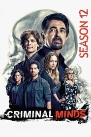 Criminal Minds Arabic  subtitles - SUBDL poster