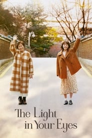 The Light in Your Eyes Korean  subtitles - SUBDL poster