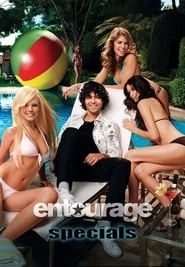 Entourage (2004) subtitles - SUBDL poster