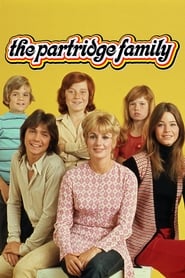 The Partridge Family (1970) subtitles