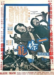 The Chinese Dragon (1973) subtitles