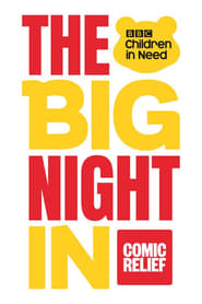 The Big Night In (2020) subtitles - SUBDL poster