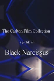 A Profile of Black Narcissus (2000) subtitles - SUBDL poster