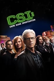 CSI: Crime Scene Investigation Danish  subtitles - SUBDL poster