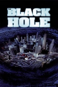 The Black Hole (2006) subtitles - SUBDL poster