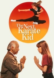 The Next Karate Kid Dutch  subtitles - SUBDL poster