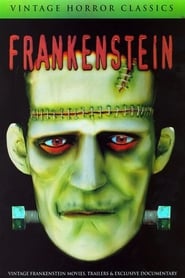Mary Shelley's Frankenstein - A Documentary (2007) subtitles - SUBDL poster