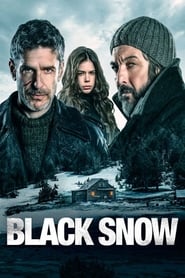 Black Snow Romanian  subtitles - SUBDL poster