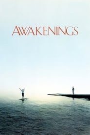 Awakenings (1990) subtitles