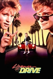 License to Drive (1988) subtitles