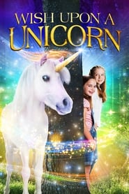 Wish Upon a Unicorn (2020) subtitles