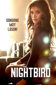 Nightbird (2023) subtitles - SUBDL poster