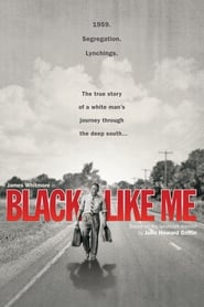 Black Like Me English  subtitles - SUBDL poster