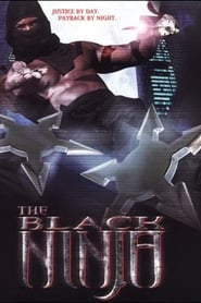 The Black Ninja (2003) subtitles - SUBDL poster