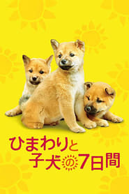 7 Days of Himawari & Her Puppies Japanese  subtitles - SUBDL poster