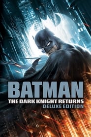 Batman: The Dark Knight Returns (2013) subtitles