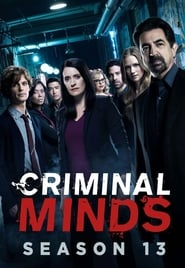 Criminal Minds Danish  subtitles - SUBDL poster