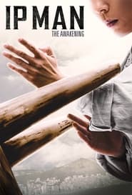Ip Man: The Awakening (2022) subtitles - SUBDL poster
