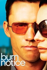Burn Notice (2007) subtitles - SUBDL poster
