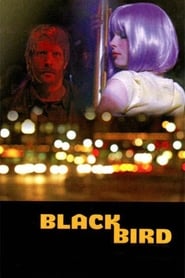 Blackbird (2007) subtitles - SUBDL poster
