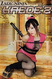 Lady Ninja Kaede 2 Vietnamese  subtitles - SUBDL poster