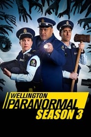 Wellington Paranormal Swedish  subtitles - SUBDL poster