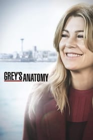 Grey's Anatomy French  subtitles - SUBDL poster