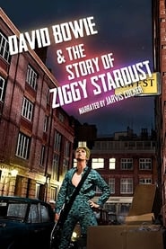 David Bowie & the Story of Ziggy Stardust English  subtitles - SUBDL poster