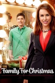 Family for Christmas English  subtitles - SUBDL poster