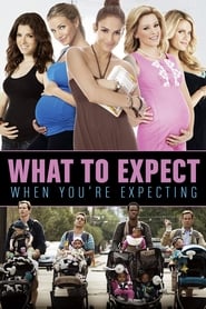 What to Expect When You're Expecting Swedish  subtitles - SUBDL poster