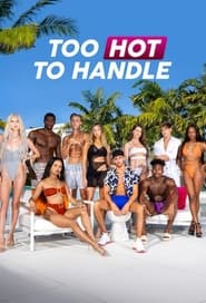 Too Hot to Handle (2020) subtitles - SUBDL poster
