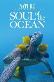 Soul of the Ocean (2023) subtitles