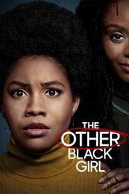 The Other Black Girl (2023) subtitles - SUBDL poster