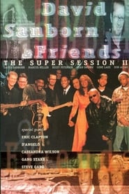 David Sanborn & Friends - The Super Session II (1999) subtitles - SUBDL poster