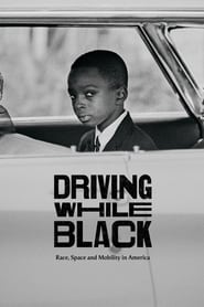 Driving While Black: Race, Space and Mobility in America (2020) subtitles - SUBDL poster