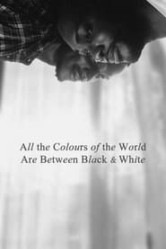 All the Colours of the World Are Between Black and White (2023) subtitles - SUBDL poster