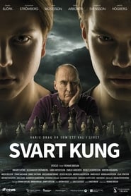 Black King (2014) subtitles - SUBDL poster