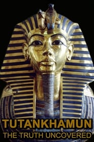 Tutankhamun: The Truth Uncovered (2014) subtitles - SUBDL poster