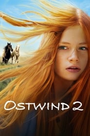 Windstorm 2 (2015) subtitles - SUBDL poster