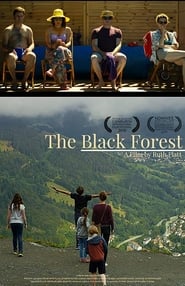 The Black Forest (2019) subtitles - SUBDL poster