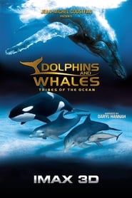 Dolphins and Whales: Tribes of the Ocean (2008) subtitles - SUBDL poster